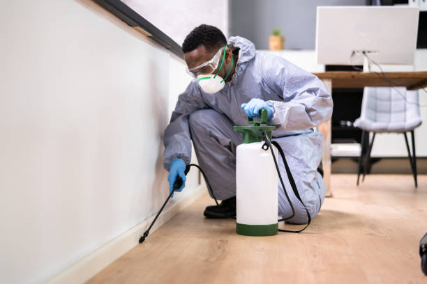 Best Residential Pest Control  in Kenilworth, PA